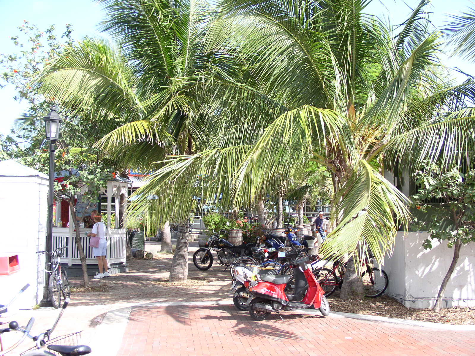 photo1